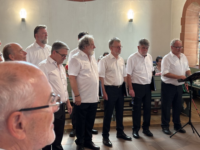 2025 06 29 Sommerkonzert 007